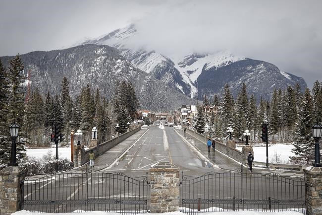 Research shows grizzly bears and wolves avoid towns, trails in Alberta's Bow Valley | iNFOnews.ca Research shows grizzly bears and wolves avoid towns, trails in Alberta's Bow Valley | iNFOnews.ca