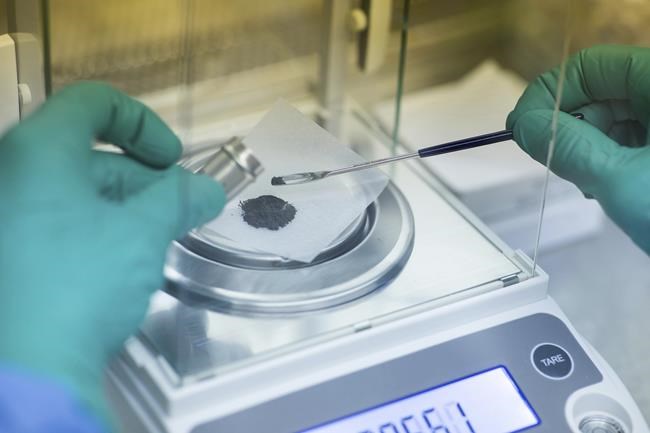 Scientists grow plants in lunar dirt, next stop moon | iNFOnews.ca Scientists grow plants in lunar dirt, next stop moon | iNFOnews.ca
