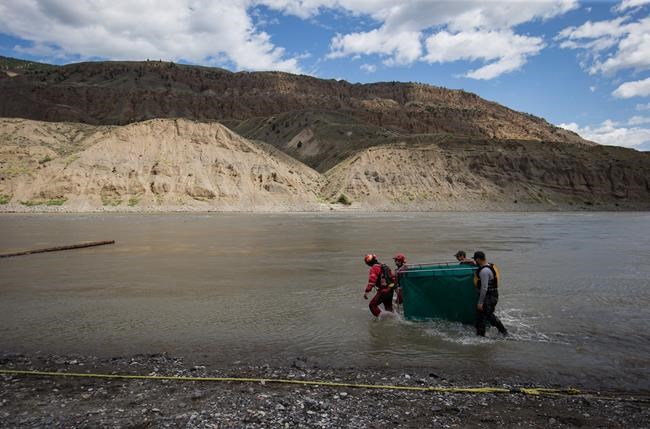 Researchers in B.C. to map landslides in Fraser River, help protect salmon | iNFOnews.ca