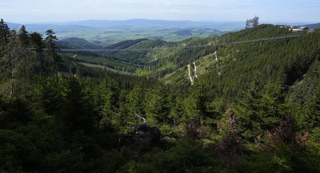 Longest pedestrian suspension bridge opens in Czech resort | iNFOnews.ca Longest pedestrian suspension bridge opens in Czech resort | iNFOnews.ca