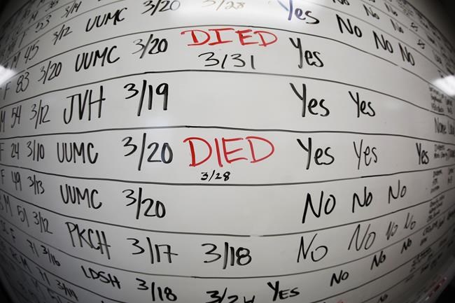 Death certificates reveal that US hit grim COVID milestone | iNFOnews.ca Death certificates reveal that US hit grim COVID milestone | iNFOnews.ca