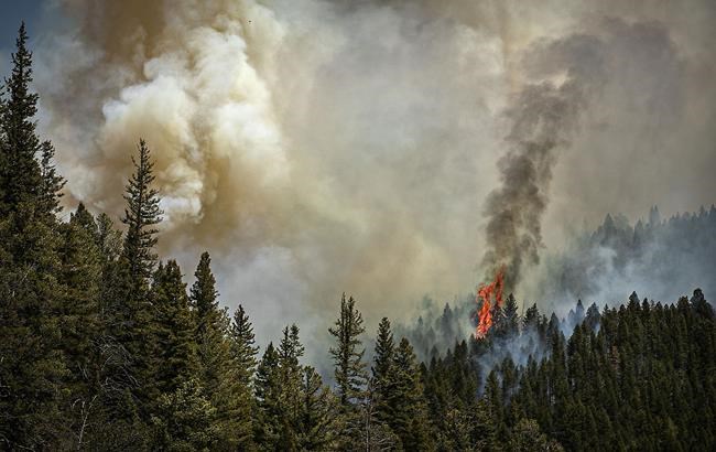 New Mexico fires prompt forest closures; governor seeks aid | iNFOnews.ca