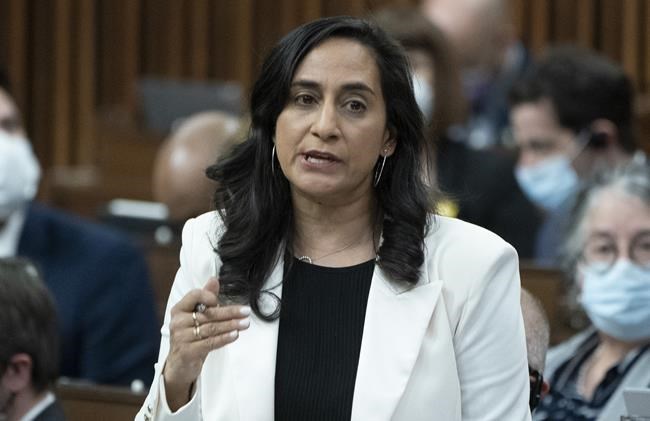Canada on 'upward trajectory' on NATO spending, modernizing Norad: defence minister | iNFOnews.ca