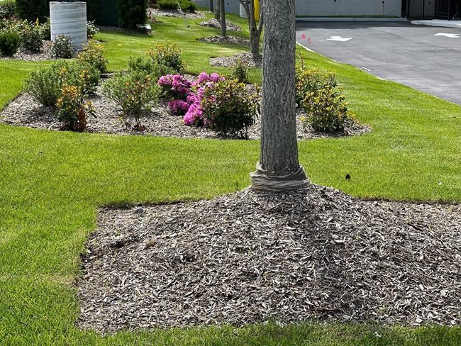 Gardening success means avoiding these common mistakes | iNFOnews.ca Gardening success means avoiding these common mistakes | iNFOnews.ca