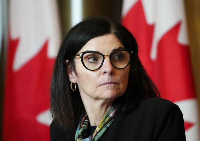 Procurement minister defends shipbuilding plan amid challenges | iNFOnews.ca