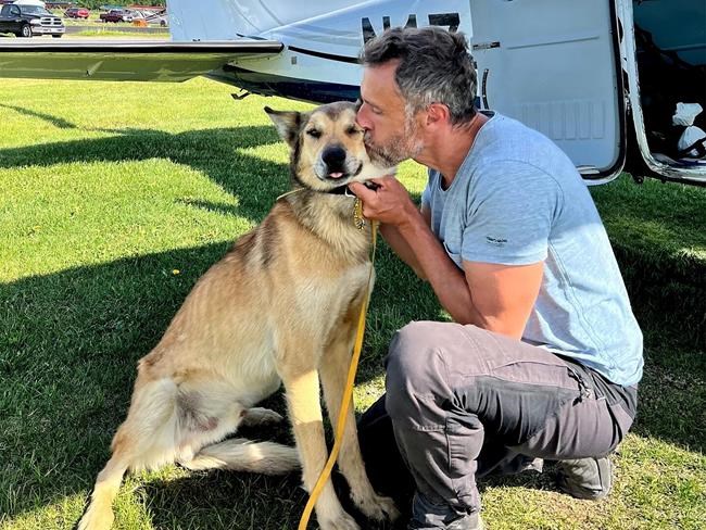 Iditarod dog found months after disappearing from checkpoint | iNFOnews.ca Iditarod dog found months after disappearing from checkpoint | iNFOnews.ca