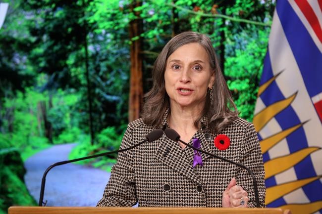 B.C. report calls for co-ordinated heat-alert system to prevent future deaths | iNFOnews.ca B.C. report calls for co-ordinated heat-alert system to prevent future deaths | iNFOnews.ca