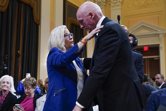 1/6 panel: Local 'heroes' rebuffed Trump, then faced threats | iNFOnews.ca