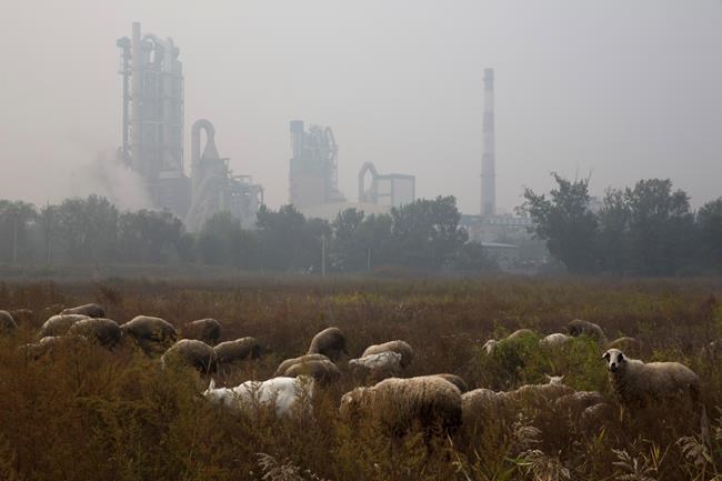 Cement carbon dioxide emissions quietly double in 20 years | iNFOnews.ca Cement carbon dioxide emissions quietly double in 20 years | iNFOnews.ca