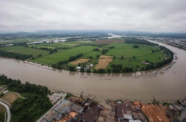 Evacuation alert issued for Barnston Island along B.C.'s Fraser River | iNFOnews.ca