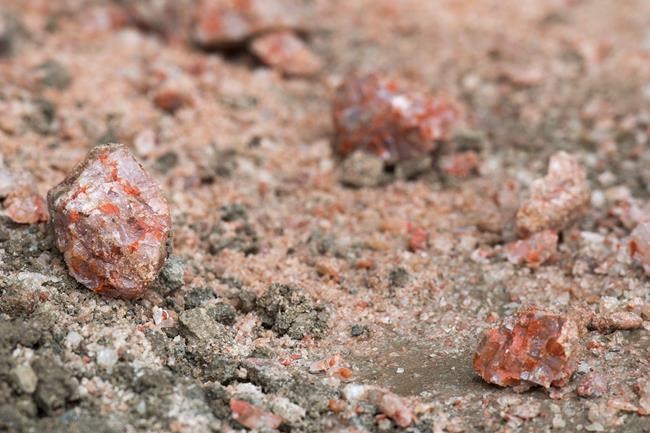 BHP working to bring Jansen potash mine into operation earlier than expected | iNFOnews.ca CP646413125
