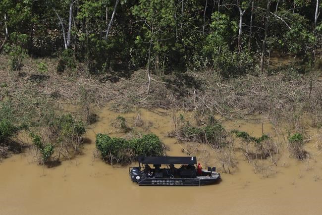 Report: Brazil authorities pay no mind to deforestation | iNFOnews.ca Report: Brazil authorities pay no mind to deforestation | iNFOnews.ca