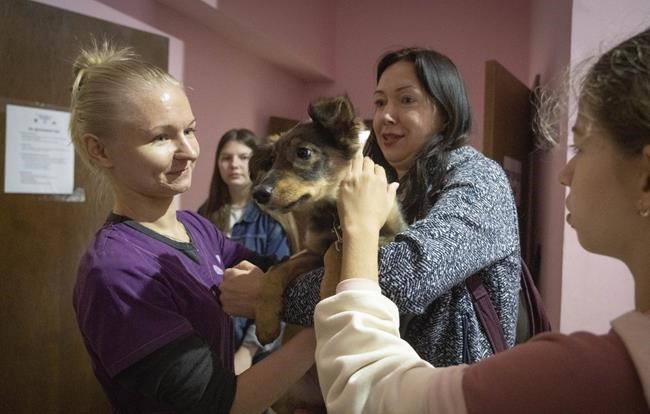 Shelter in Ukraine's capital takes in animals haunted by war | iNFOnews.ca