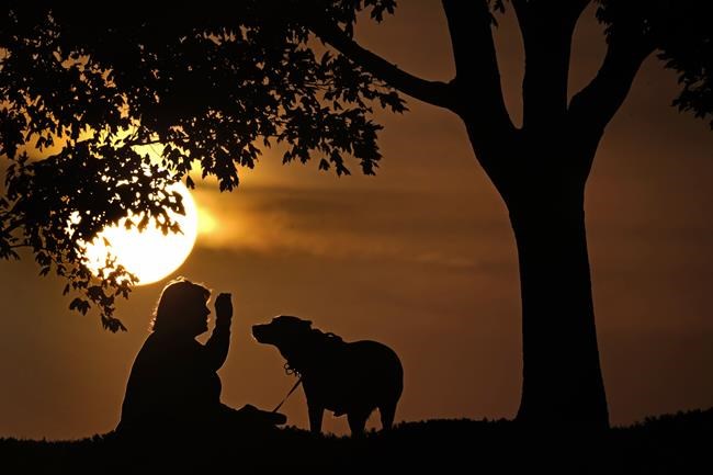 Monkeypox can spread to pet dogs, doctors report | iNFOnews.ca Monkeypox can spread to pet dogs, doctors report | iNFOnews.ca