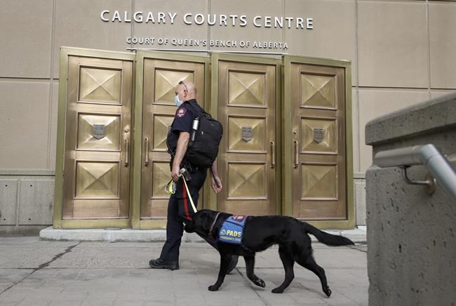 'Sorry': Crown calls for harsh sentence for Calgary man in multimillion-dollar fraud | iNFOnews.ca 'Sorry': Crown calls for harsh sentence for Calgary man in multimillion-dollar fraud | iNFOnews.ca