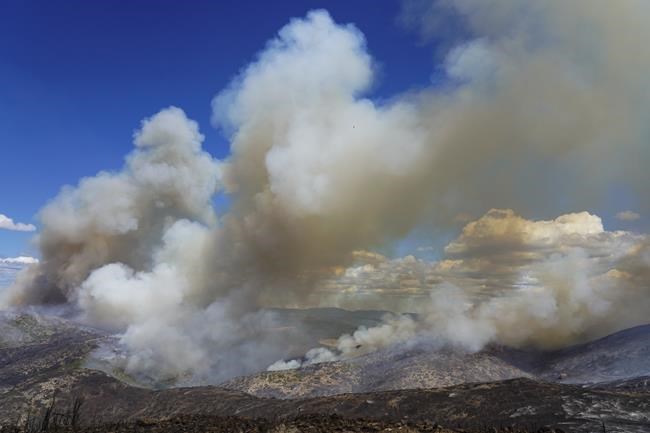 Winds drive major wildfire in Spain; Portugal goes on alert | iNFOnews.ca