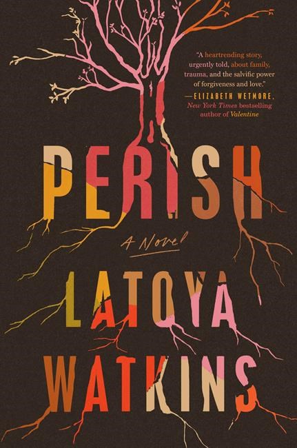 Review: Debut novel 'Perish' handles trauma with grace, grit | iNFOnews.ca Review: Debut novel 'Perish' handles trauma with grace, grit | iNFOnews.ca