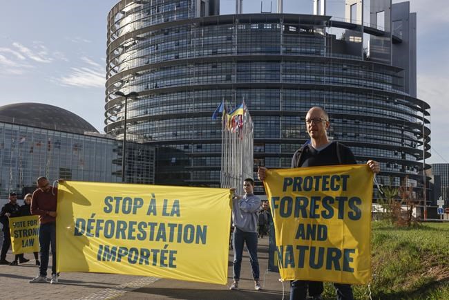 EU lawmakers support ban of goods linked to deforestation | iNFOnews.ca