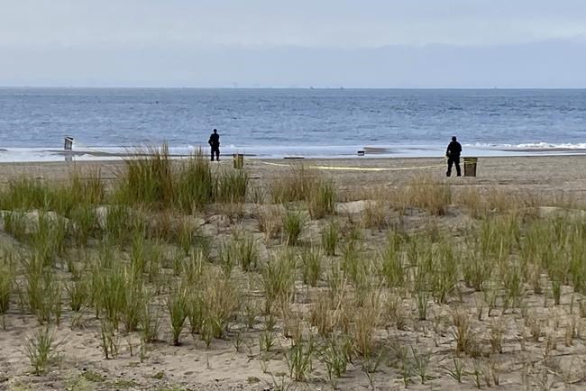 Mom charged with drowning 3 kids near famed NY boardwalk | iNFOnews.ca Mom charged with drowning 3 kids near famed NY boardwalk | iNFOnews.ca