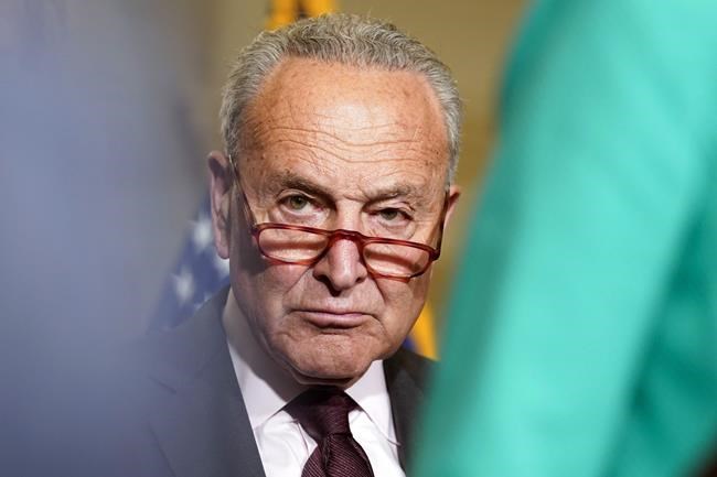 Democrats punt same-sex marriage vote until after election | iNFOnews.ca
