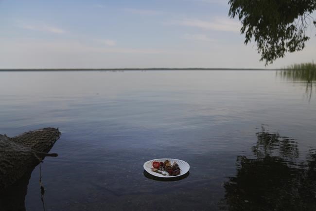 Minnesota Ojibwe harvest sacred, climate-imperiled wild rice | iNFOnews.ca