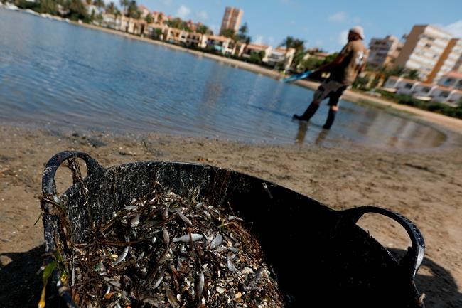 Spain gives personhood status to Mar Menor salt-water lagoon | iNFOnews.ca