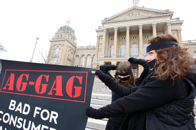 Federal court finds 3rd Iowa ag-gag law unconstitutional | iNFOnews.ca