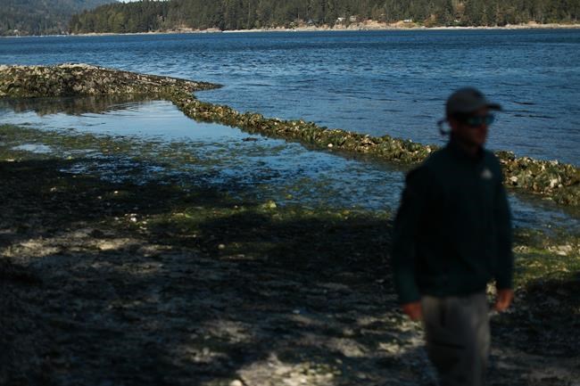 Some B.C. regions at Drought Level 4 as water scarcity affects the province | iNFOnews.ca Some B.C. regions at Drought Level 4 as water scarcity affects the province | iNFOnews.ca