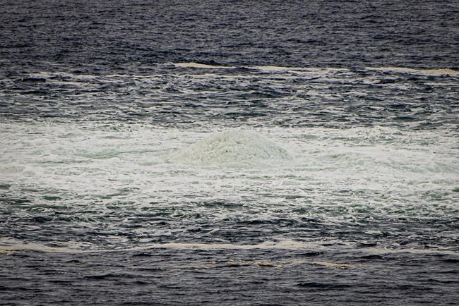 Sweden sends special diving vessel to area of pipeline leaks | iNFOnews.ca