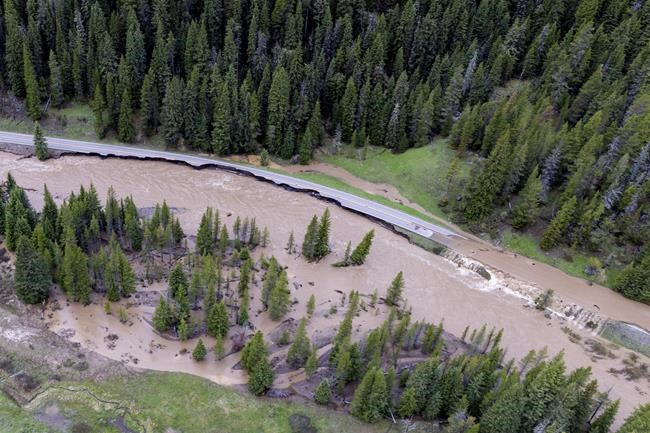 Yellowstone's Northeast entrance to open to traffic Saturday | iNFOnews.ca CP650606033