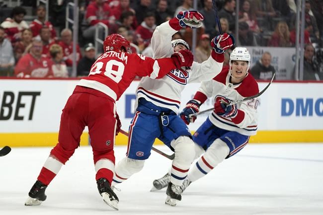 Soderblom, Husso, Lalonde have big Red Wings debuts in win | iNFOnews.ca