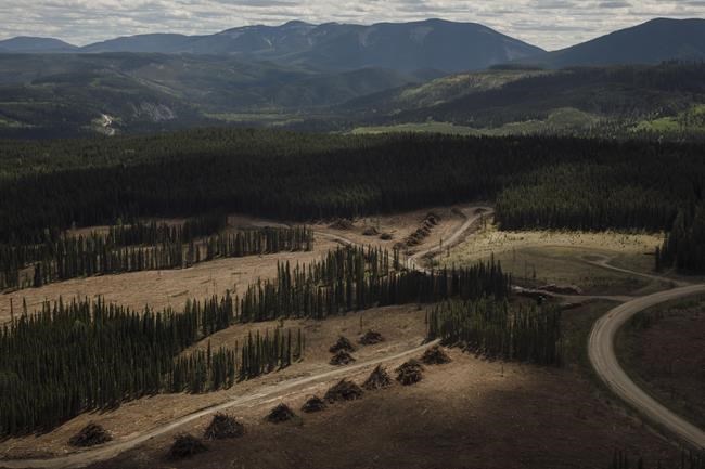 'Little window': Coal mine supporters hope for change under new Alberta premier | iNFOnews.ca