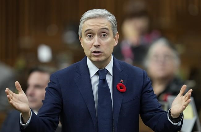 Ottawa restricting foreign state-owned investments in critical minerals | iNFOnews.ca CP618250477