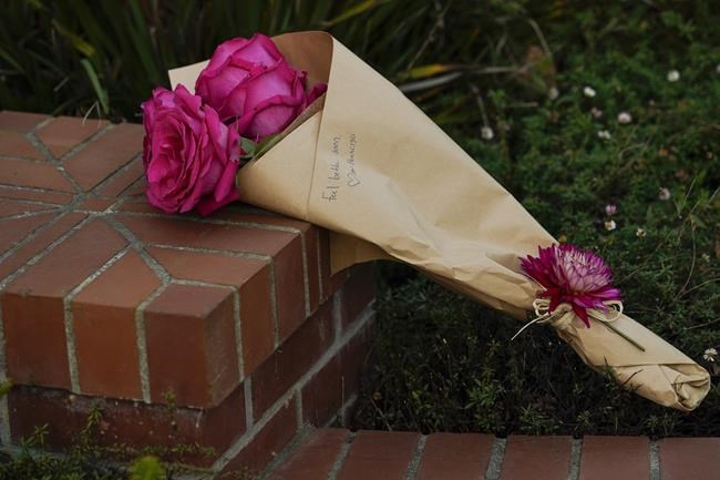Intruder attacks Pelosi's husband, calling, 'Where is Nancy' | iNFOnews.ca