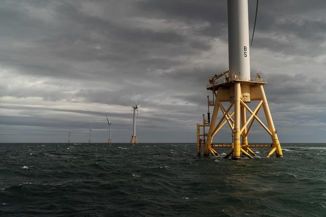 Feds unveil plan to grow wind power while sparing rare whale | iNFOnews.ca Feds unveil plan to grow wind power while sparing rare whale | iNFOnews.ca
