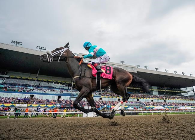 Queen's Plate winner Moira faces challenge in Breeders' Cup race | iNFOnews.ca Queen's Plate winner Moira faces challenge in Breeders' Cup race | iNFOnews.ca
