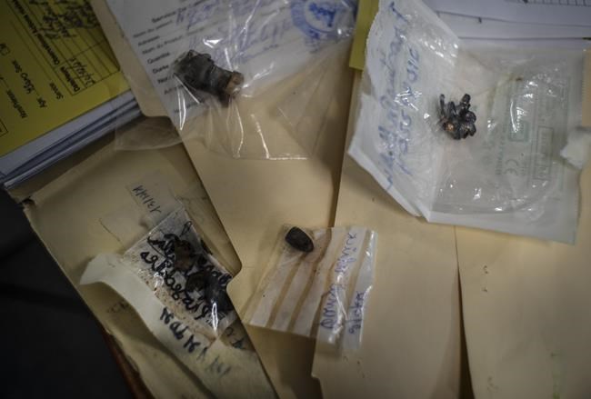 Canada sanctions Haitian officials as MPs told gangs are wreaking 'civil war' | iNFOnews.ca Canada sanctions Haitian officials as MPs told gangs are wreaking 'civil war' | iNFOnews.ca