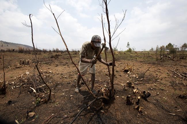 World in crisis a grim backdrop for UN climate talks | iNFOnews.ca
