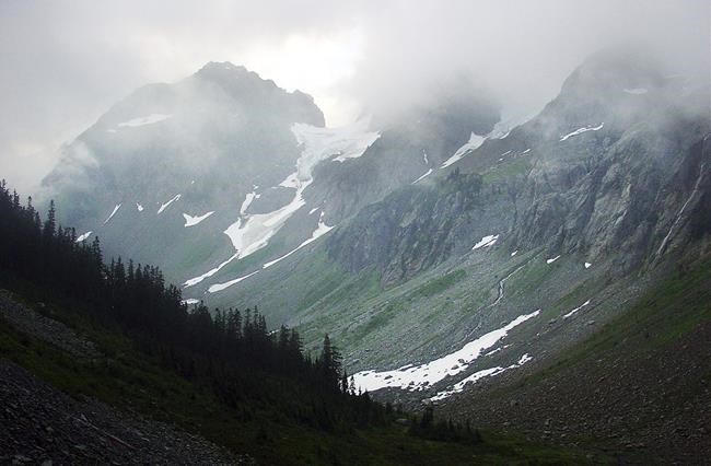 Feds resume study of restoring grizzlies to North Cascades | iNFOnews.ca