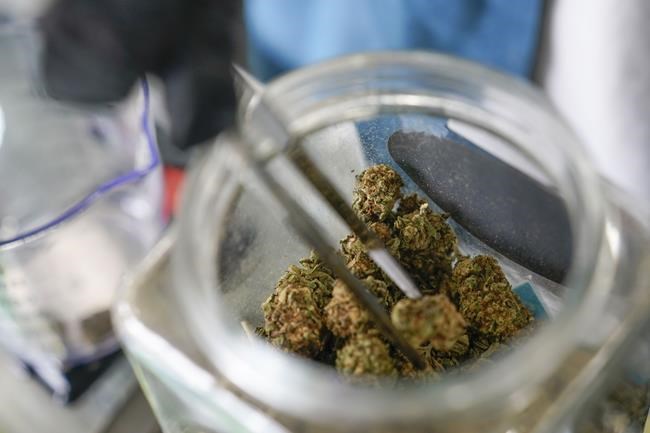 Walz says Minnesota Legislature could legalize pot in 2023 | iNFOnews.ca Walz says Minnesota Legislature could legalize pot in 2023 | iNFOnews.ca