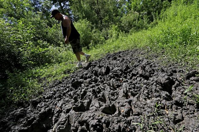 Feral hog control: 8 years, some progress, $2.5B damage/year | iNFOnews.ca Feral hog control: 8 years, some progress, $2.5B damage/year | iNFOnews.ca
