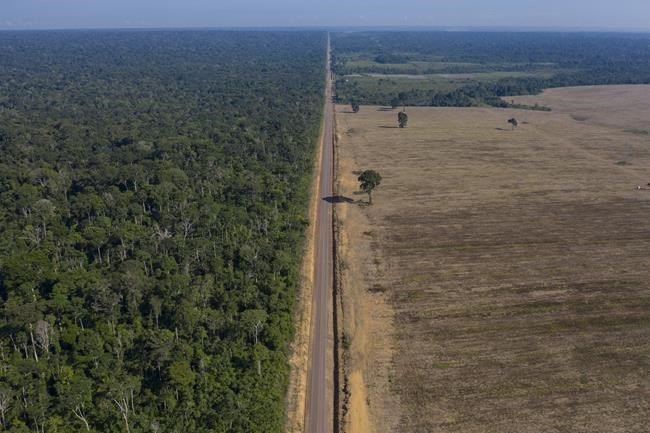 Amazon loses 10% of its vegetation in nearly four decades | iNFOnews.ca Amazon loses 10% of its vegetation in nearly four decades | iNFOnews.ca