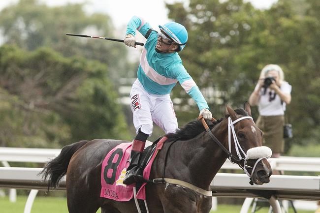 Woodbine announces change of $1 million stakes race to King's Plate for 2023 | iNFOnews.ca Woodbine announces change of $1 million stakes race to King's Plate for 2023 | iNFOnews.ca