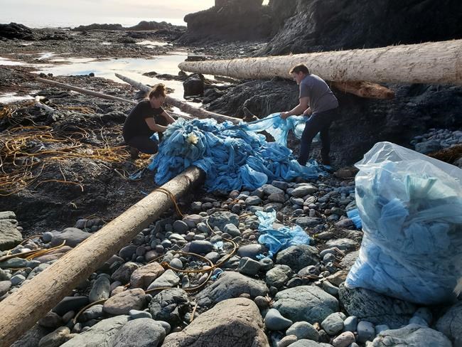 From urinal mats to unicorns, cargo from 2021 spill still washes up on B.C. shores | iNFOnews.ca From urinal mats to unicorns, cargo from 2021 spill still washes up on B.C. shores | iNFOnews.ca