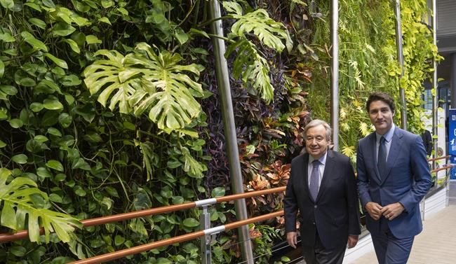Financial institutions, businesses see a role in preserving biodiversity at COP15 | iNFOnews.ca