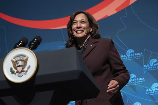 US-hosted Africa summit opens with focus on youth, security | iNFOnews.ca US-hosted Africa summit opens with focus on youth, security | iNFOnews.ca