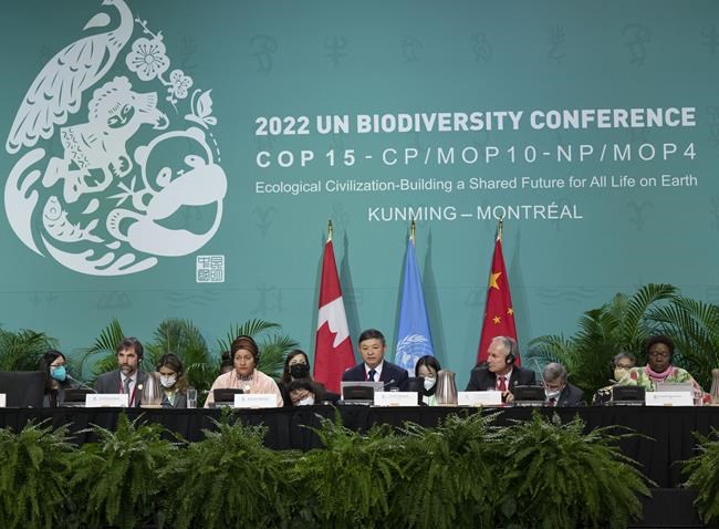 Environment ministers try to get Montreal biodiversity talks on track in final days | iNFOnews.ca