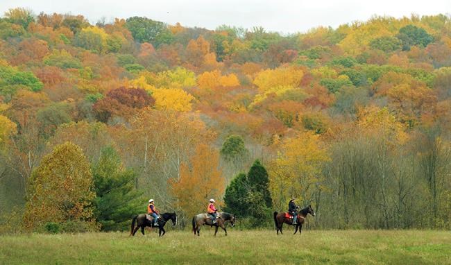 Forest Service to start Indiana project despite concerns | iNFOnews.ca Forest Service to start Indiana project despite concerns | iNFOnews.ca