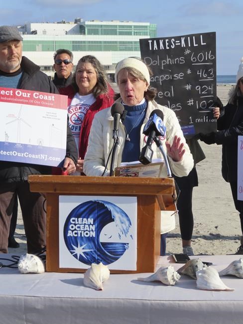 Groups seek probe of NY-NJ whale deaths amid wind power prep | iNFOnews.ca