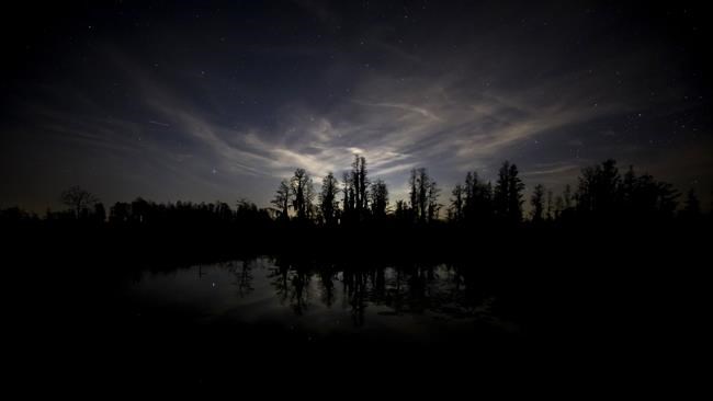 Twinkle, twinkle fading stars: Hiding in our brighter skies | iNFOnews.ca